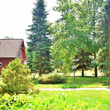 Center Angelos Bronków Dış mekan fotoğraf