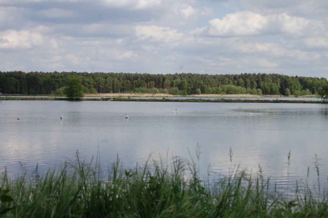 Center Angelos Bronków Dış mekan fotoğraf