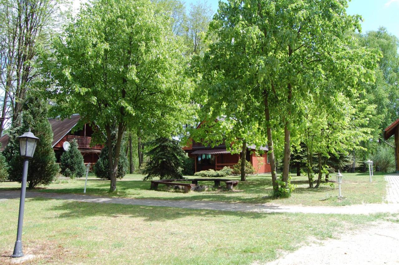 Center Angelos Bronków Dış mekan fotoğraf